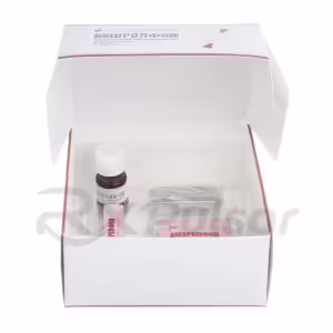 Amorolfine Medicated Nail Lacquer 5% (5Ml), 1Pc Buy Online 11