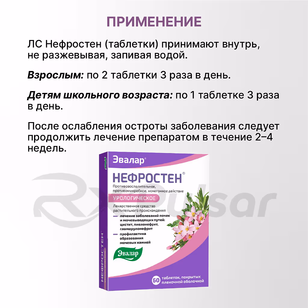 Nefrosten-Tablets_4 Nefrosten™ Tablets 60Pcs Buy Online 4