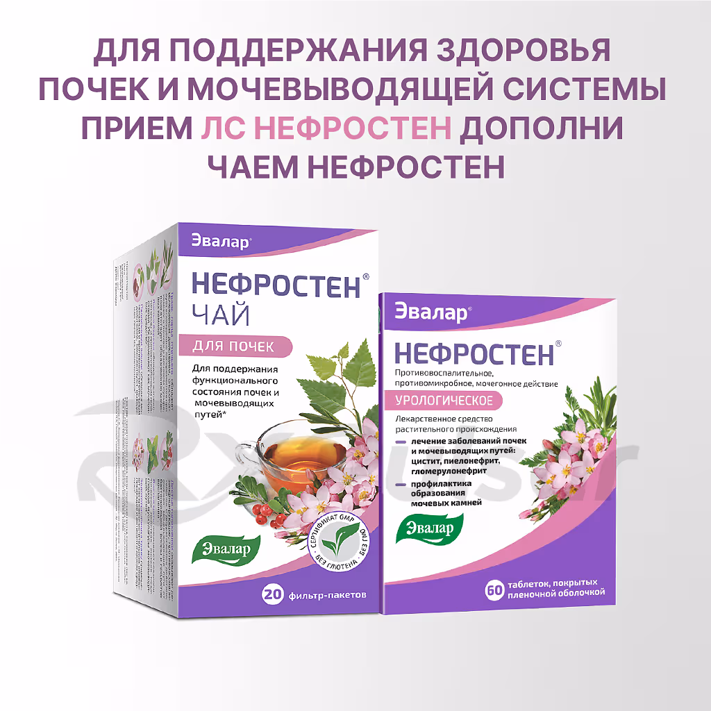 Nefrosten-Tablets_7 Nefrosten™ Tablets 60Pcs Buy Online 7
