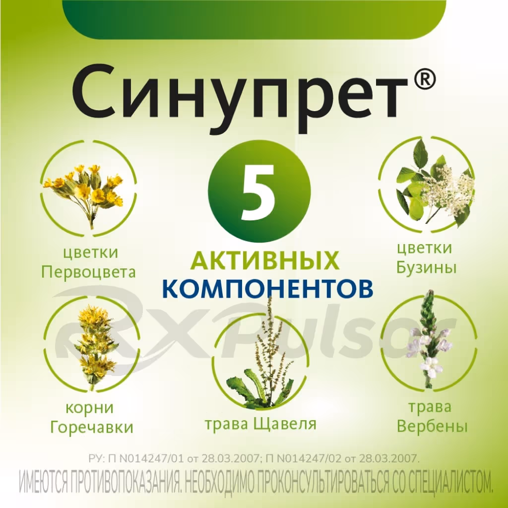 Sinupret-50-Tablets_6 Sinupret™ Tablets, 50Pcs Buy Online 6