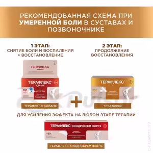 Teraflex™ Capsules 500Mg+400Mg, 60Pcs Buy Online 29