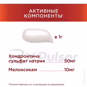 Theraflex™ Chondrocream Forte Cream 1%+5% (100G), Tube 1Pc Buy Online 21